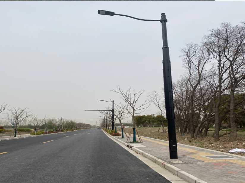 兴业县上海综合杆 太阳能路灯工程